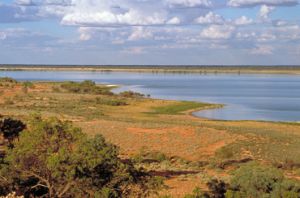 View across Lake Bindegolly, one of a string of salt and freshwater wetlands within Lake Bindegolly National Park. 
