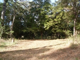 Photo of camp site 2 at Old Laura Homestead camping area