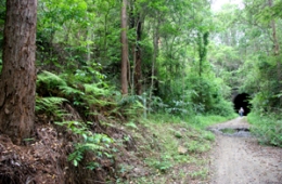 Track view, approaching the tunnel from the south on the Tunnel track. 