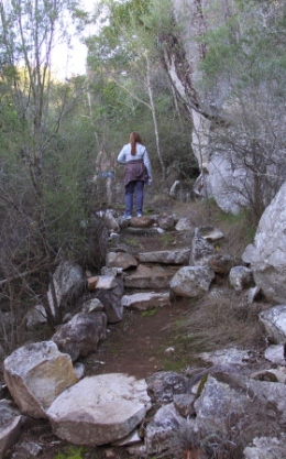 The Riverbed and Rock Pools Walk is a rough track that winds down the gorge to the river.