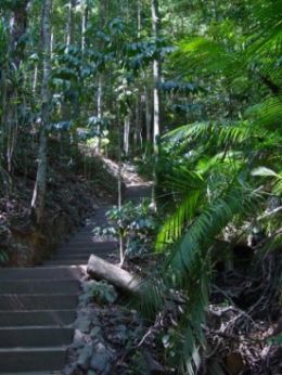 The Red Arrow circuit walk in Mount Whitfield Conservation Park. 
