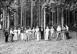 Talk by District Forrester Suttie to visiting timber men at Wongabel, 15 October 1954. 