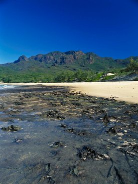 Image of part of the mountainous backbone of Hinchinbrook Island.