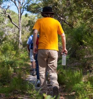 Use sun protection, carry water and stay on the walking tracks at all times. 