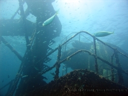 The former Royal Australian Navy warship is now a premier dive destination. 
