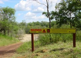 Crocodile warning sign