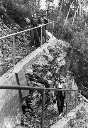 Track building was a high priority for the new park. Concrete ramp and handrails replaced the wooden ladders that took tourists down cliff faces to the base of falls in the Canyon area. 