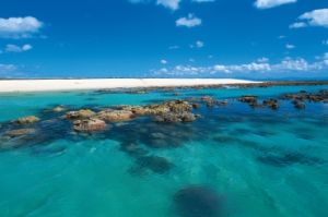 Image of Michaelmas Cay, Queensland.