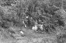 Picnicking at sites along the Palmerston Highway has been popular since the early 1900s.
