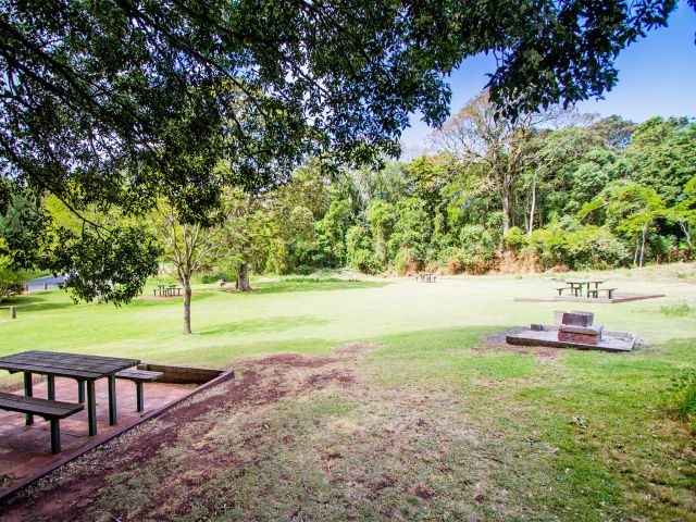 Westcott picnic area is a great spot for birdwatching and a quiet picnic.