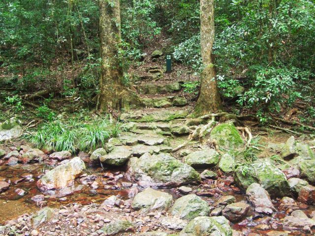 Cross Amamoor Creek along the Amama walk.