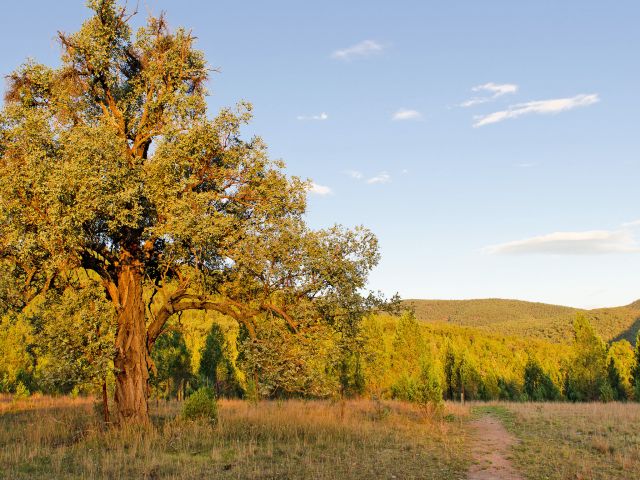 Climb up to the westen boundary and into the main valley of the park on the Western circuit.
