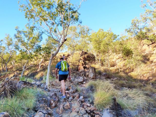 Photo showing the views of and from the Constance Range and beyond are well worth the climb.