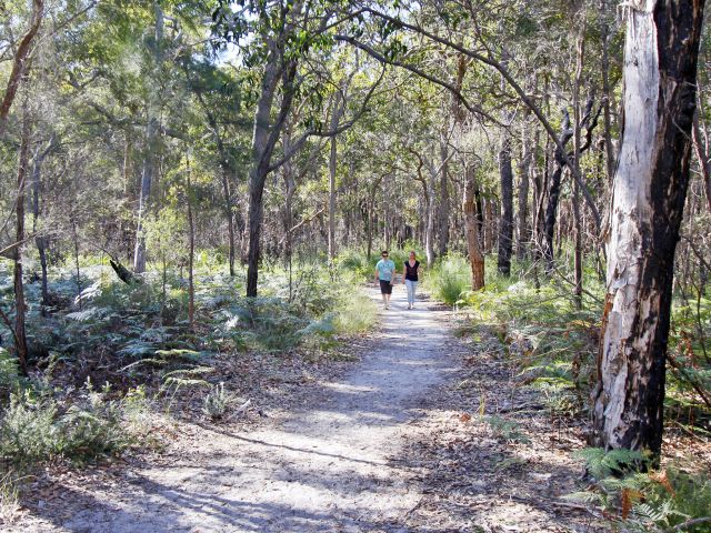 Walk through a number of different vegetation types along the Banksia track.