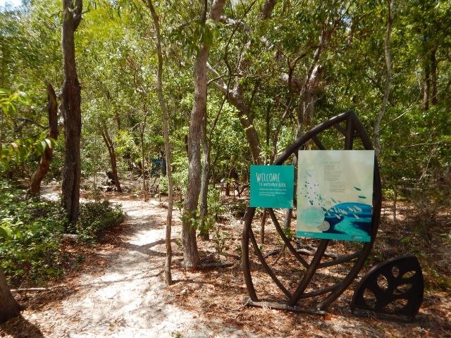 Wander among the shady trees along the Chance Bay track.