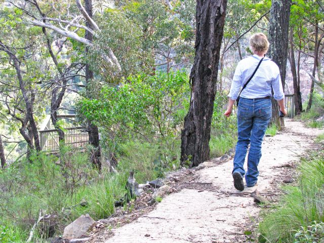From Red Rock Gorge camping area take the graded track to the lookout.