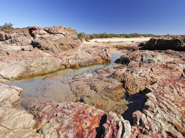 Explore the rock pools at Wreck Rock beach.