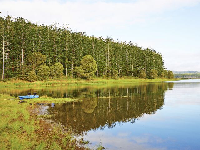 Remember your kayak when you camp at Downfall Creek camping area.