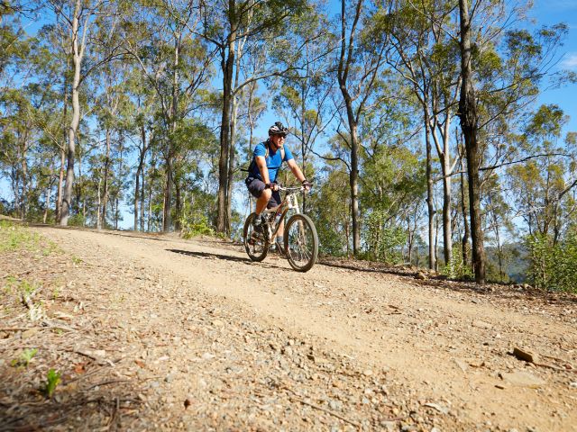Enjoy a mountain bike ride from The Gap to just before Mount Nebo on the South Boundary Road trail.