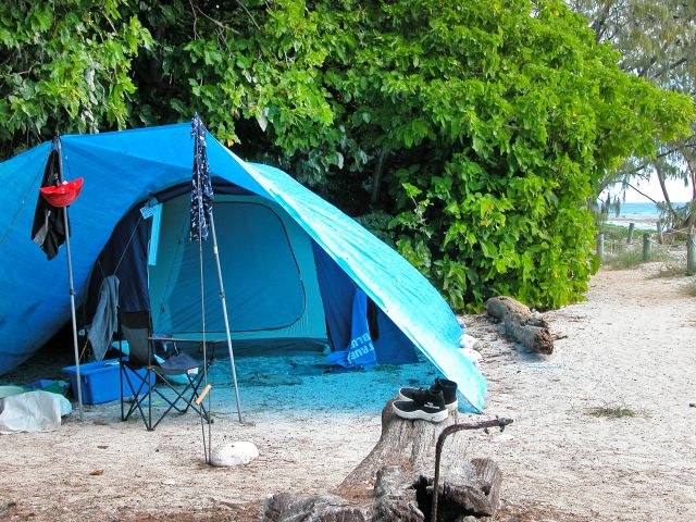 Pitch your tent in the shelter of the pisonia trees.