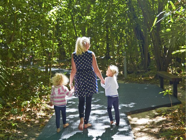 Take a family walk along the Green Island boardwalk.