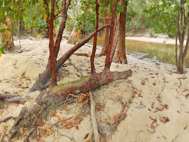 Set up camp on either side of Saltwater Creek.