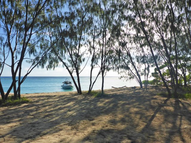 You can reach Mast Head Island by private boat or commercial vessel.