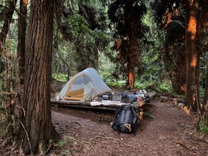Image of Banshee walkers camp which has elevated camping platforms.
