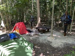 New campsite node for independent Thorsborne Trail hikers at South Zoe Bay camping area