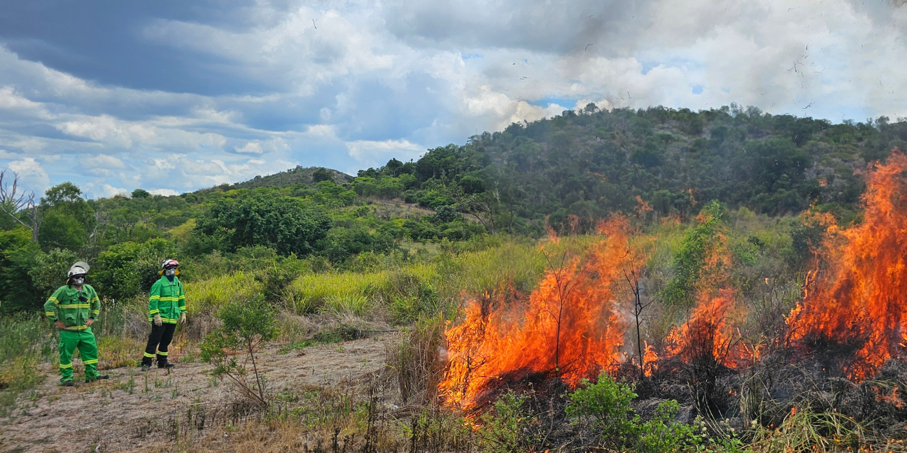 Rangers observe flames forming part of their planned burn