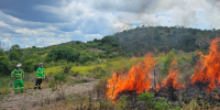 Rangers observe flames forming part of their planned burn