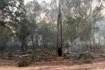 Ashes and smoke in the ground cover during the planned burn.