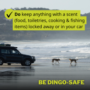 Image of Be dingo-safe social tile - Do keep anything with a scent locked away or in your car