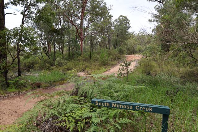 A dirt road surrounded by dense green vegetation and trees, with a wooden signpost labelled South Mimosa Creek on the right. 