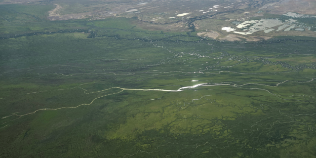 An aerial view of the Channel Country between Bedourie and Boulia after two big wet seasons — greener than it has been in years.
