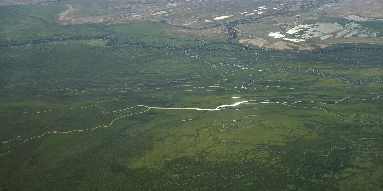 An aerial view of the Channel Country between Bedourie and Boulia after two big wet seasons — greener than it has been in years.