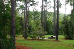Image of Red Rock camping area.