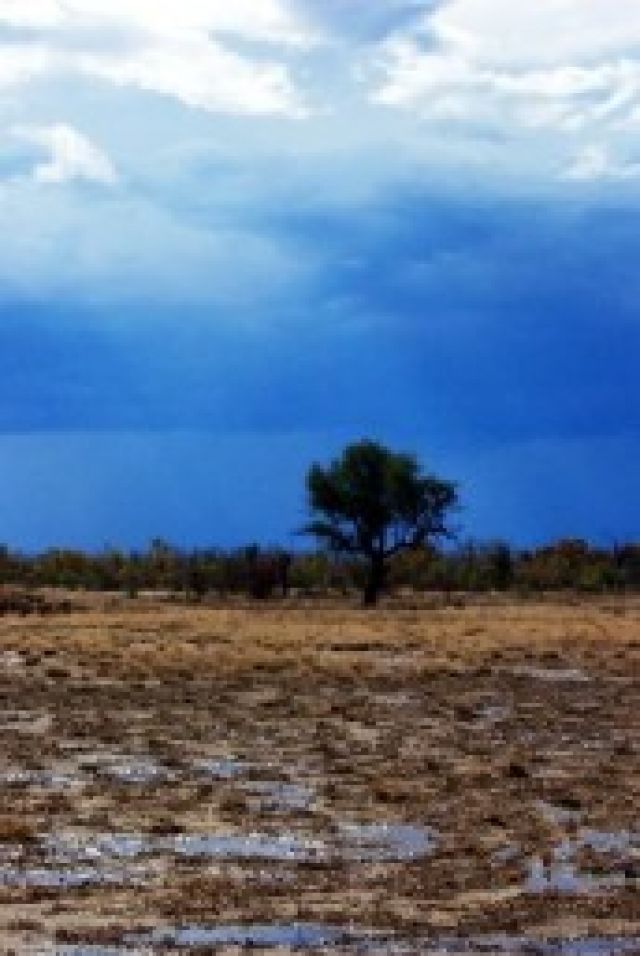 Seasonal rain makes Moorrinya inaccessible. The best time to visit is the cooler, drier months. 