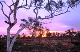 Sunset over Undara Volcanic National Park
