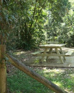 Scrubby Creek day-use area has picnic tables with an extended top suitable for seating a person in a wheelchair.  