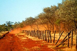 Travel on a network of dirt roads and discover the unique features of Currawinya National Park.