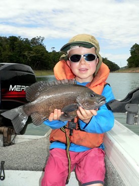 A Koombooloomba sooty grunter