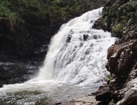 McKenzie Falls. 