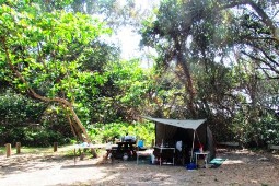 Site two at Chilli Beach camping area. 