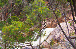After heavy rain, water plummets 20m over Crows Nest Falls.