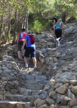 Many steps lead visitors to Mount Coolum's summit, 208m above sea level! The track is suitable for fit walkers only. 