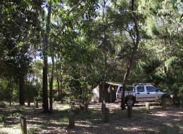 Campsite at Eurimbula Creek camping area.