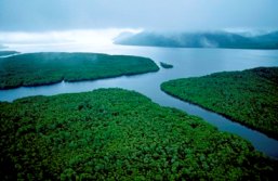 Image of the Hinchinbrook Channel. 