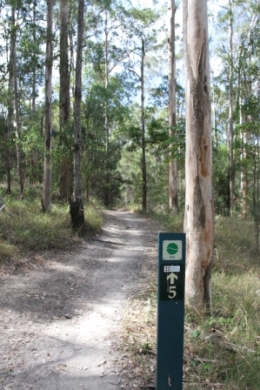 Shared trails provide access for horse and mountain bike riders. 
