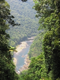 Crawfords lookout offers views over the North Johnstone River gorge, Palmerston.